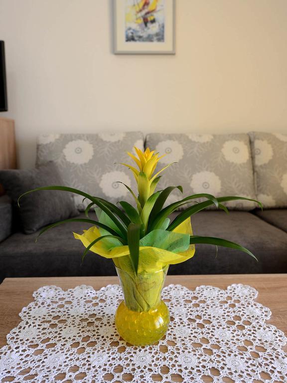 Apartman Adriana ซาดาร์ ภายนอก รูปภาพ